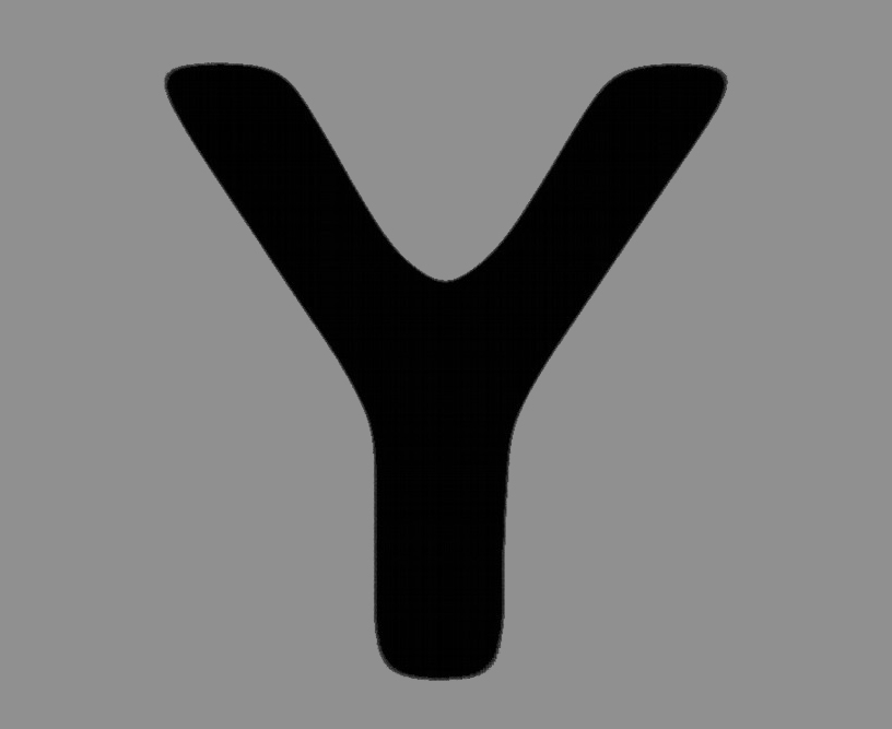 Y - Maurizio Bianchi